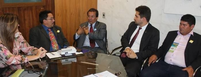 Prefeitos do Piaui reúnem-se com a Deputada Federal Iracema Portela em Brasilia   - Imagem 4