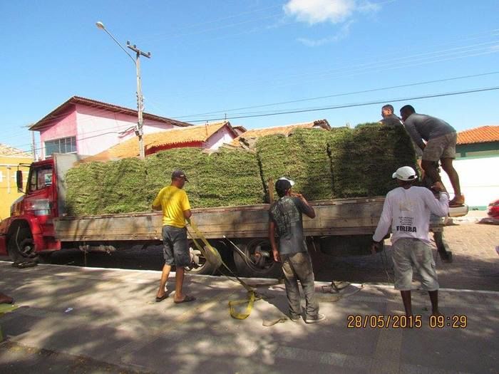Praça Monsenhor Bozon começa a ser revitalizada - Imagem 2