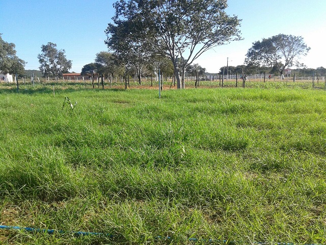 III EXPOEIRAS tem início em Oeiras - Imagem 1