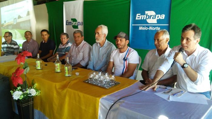Embrapa realiza reunião sobre Agro Energia para Agricultura Familiar em Boa Hora - Imagem 3