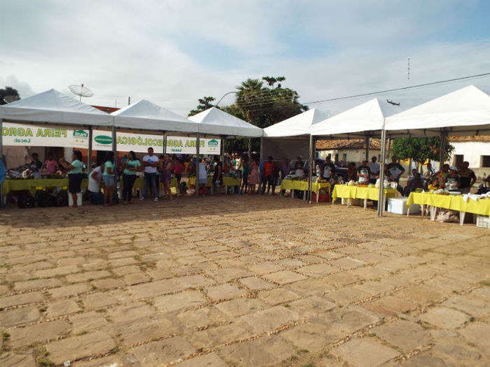 I Primeira Feira Agroecológica - Imagem 7