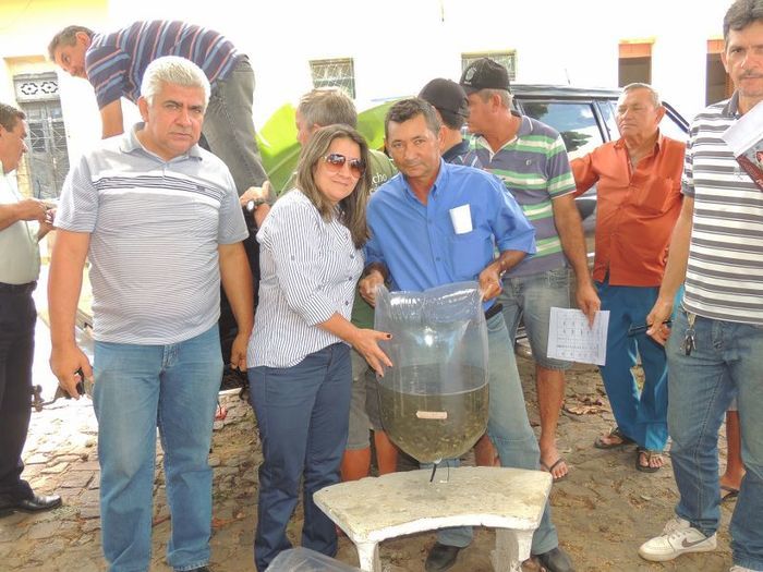 Município distribui milhares de alevinos a piscicultores  - Imagem 13
