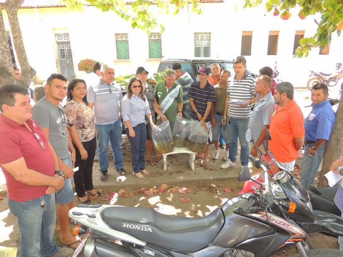 Município distribui milhares de alevinos a piscicultores  - Imagem 5