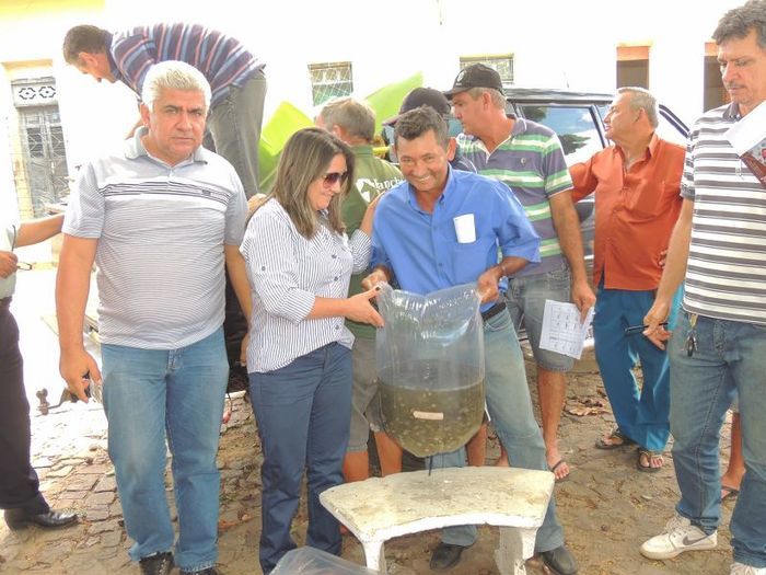 Município distribui milhares de alevinos a piscicultores  - Imagem 12