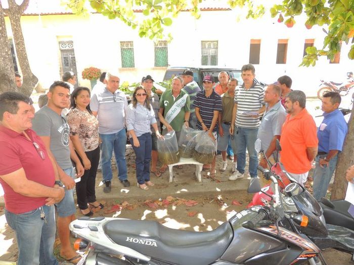 Município distribui milhares de alevinos a piscicultores  - Imagem 4