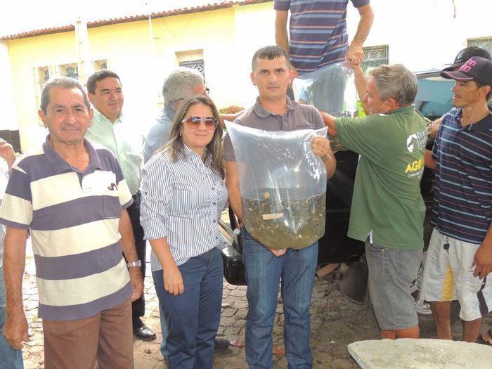 Município distribui milhares de alevinos a piscicultores  - Imagem 11