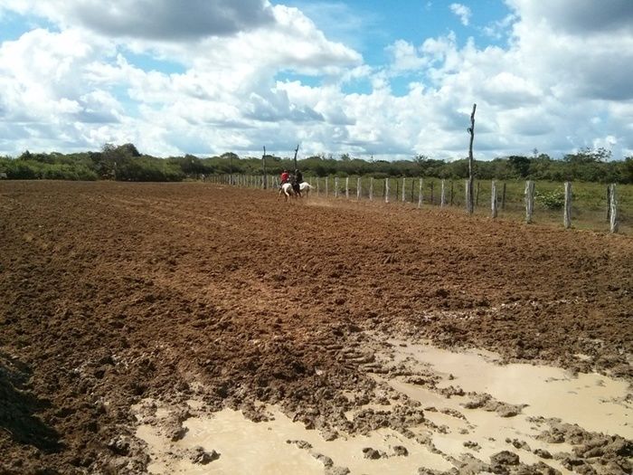 Festejo de Santa Cruz na localidade Palestina. Festa e vaquejada  - Imagem 5