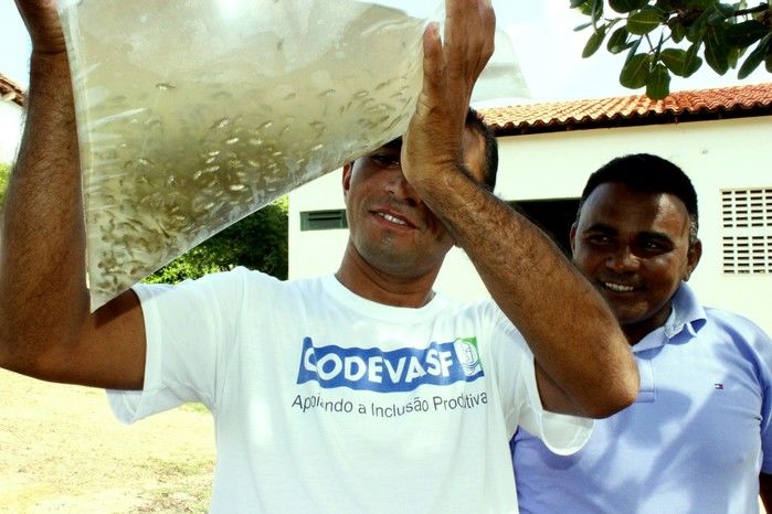  10 mil alevinos são distribuídos pela Prefeitura de Miguel Alves  para piscicultores   - Imagem 8