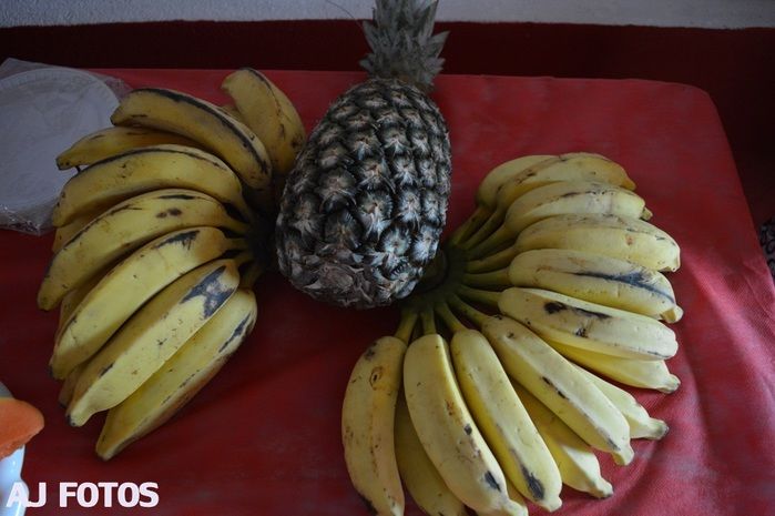 Equipe da Academia oferece café  - Imagem 10