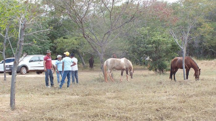 4ª Cavalgada de Dom Expedito Lopes - Imagem 30