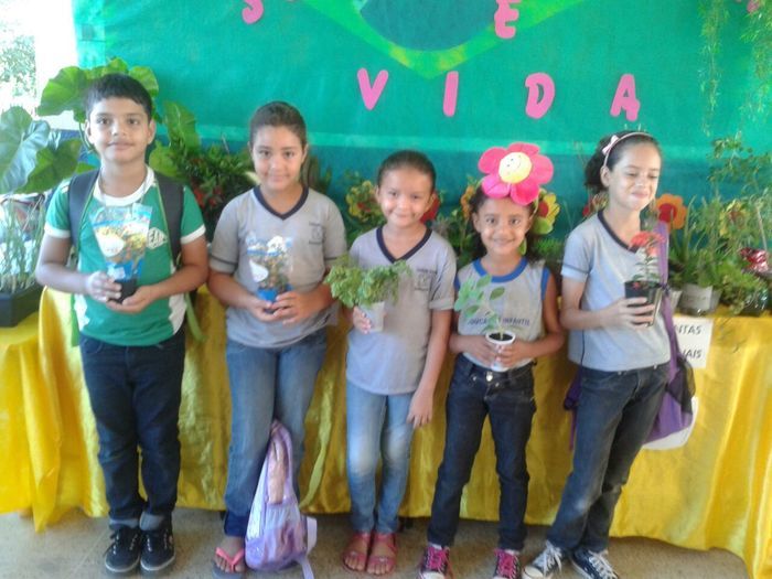 Abertura do Projeto de Ciências Sustentabilidade é Vida na Escola Raimunda Lili  - Imagem 2