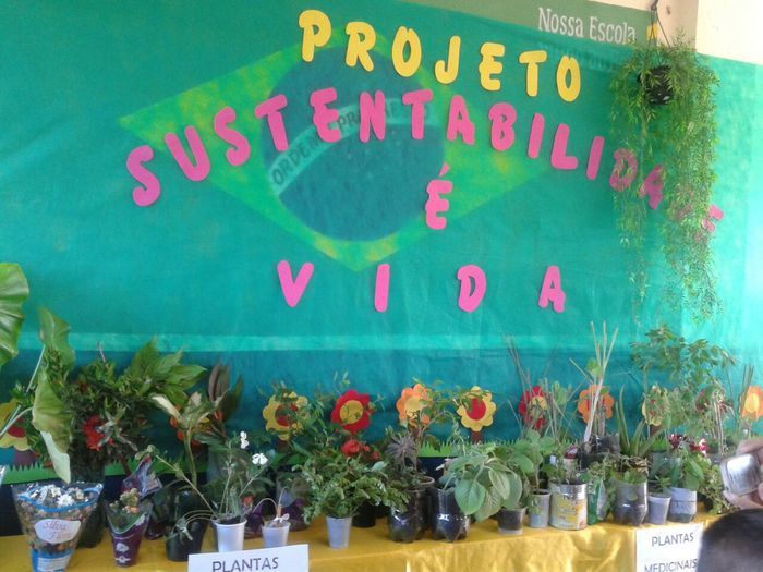 Abertura do Projeto de Ciências Sustentabilidade é Vida na Escola Raimunda Lili  - Imagem 9