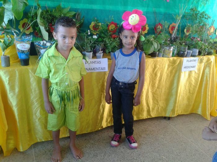 Abertura do Projeto de Ciências Sustentabilidade é Vida na Escola Raimunda Lili  - Imagem 1