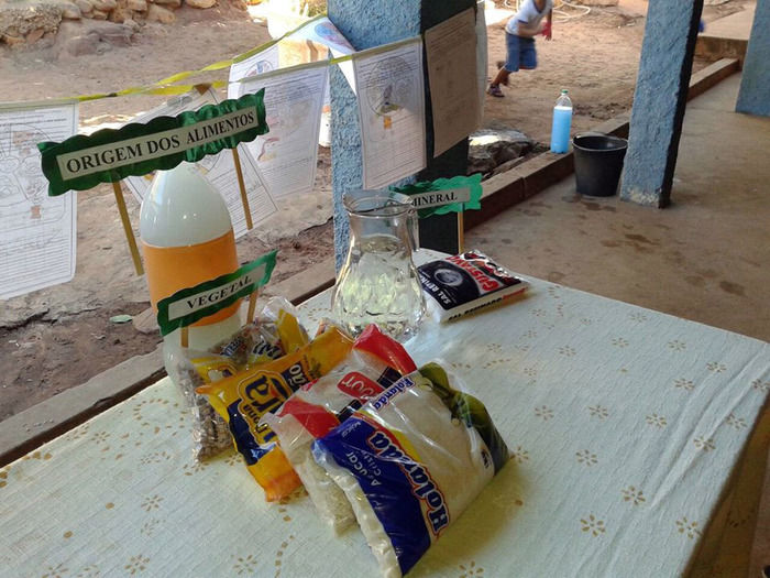 Encontro infanto-juvenil pelo meio ambiente acontece em Oeiras - Imagem 4