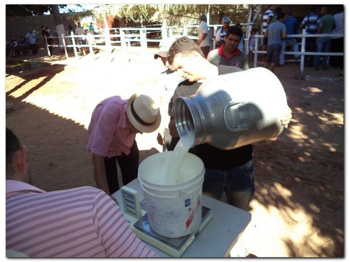 Comemoração 61 anos de Inhuma- Concurso Gado Leiteiro e Show João Cláudio Moreno - Imagem 23