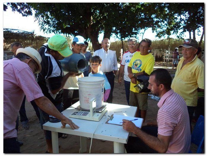 Comemoração 61 anos de Inhuma- Concurso Gado Leiteiro e Show João Cláudio Moreno - Imagem 9