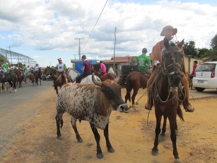 Primeira Cavalgada Amigos de Agricolândia  - Imagem 3