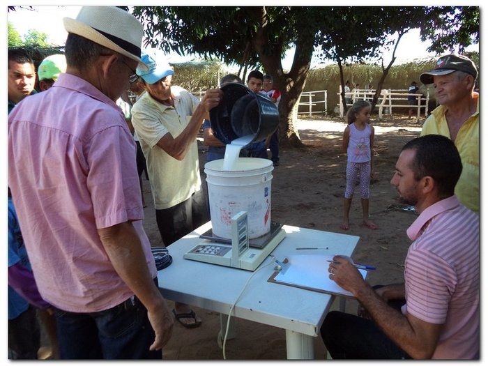 Comemoração 61 anos de Inhuma- Concurso Gado Leiteiro e Show João Cláudio Moreno - Imagem 8