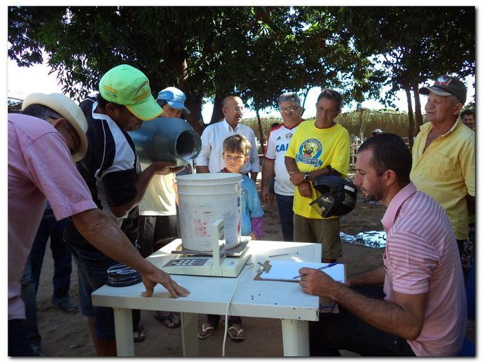 Comemoração 61 anos de Inhuma- Concurso Gado Leiteiro e Show João Cláudio Moreno - Imagem 10