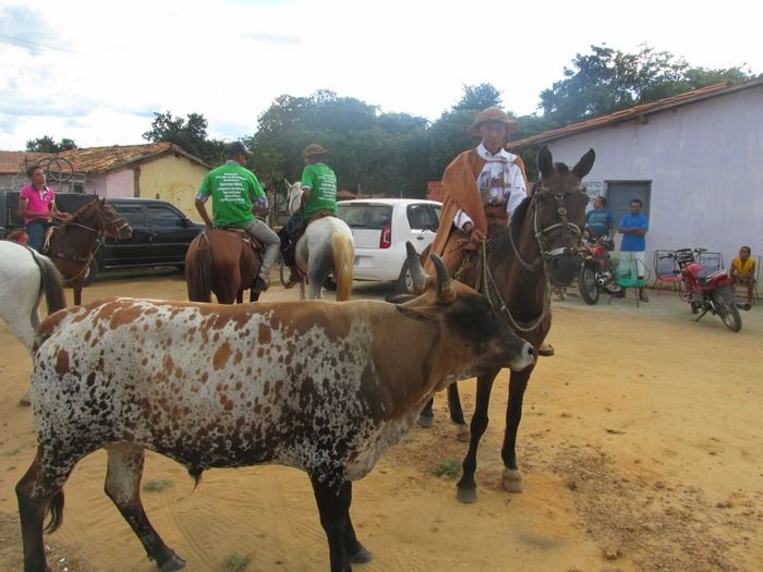 Primeira Cavalgada Amigos de Agricolândia  - Imagem 2