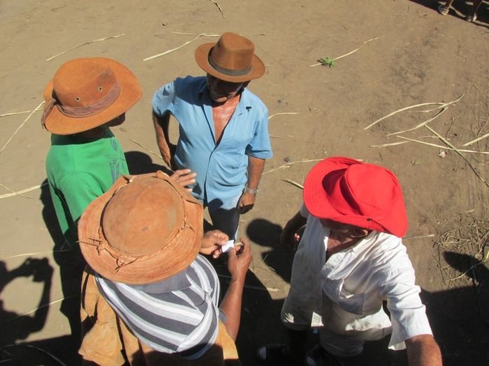 Família tuna Brito Realiza a 3º Pega de Boi na Mata em Tamboril - Imagem 20