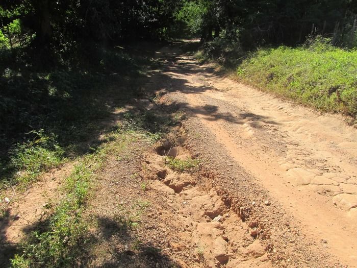 Prefeito Walter Alencar acompanha a recuperação da estrada de Mangabeira Zona rual de Agricolândia - Imagem 13