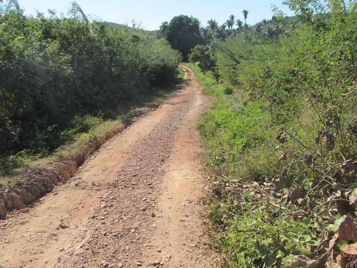 Prefeito Walter Alencar acompanha a recuperação da estrada de Mangabeira Zona rual de Agricolândia - Imagem 14