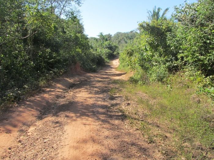 Prefeito Walter Alencar acompanha a recuperação da estrada de Mangabeira Zona rual de Agricolândia - Imagem 11