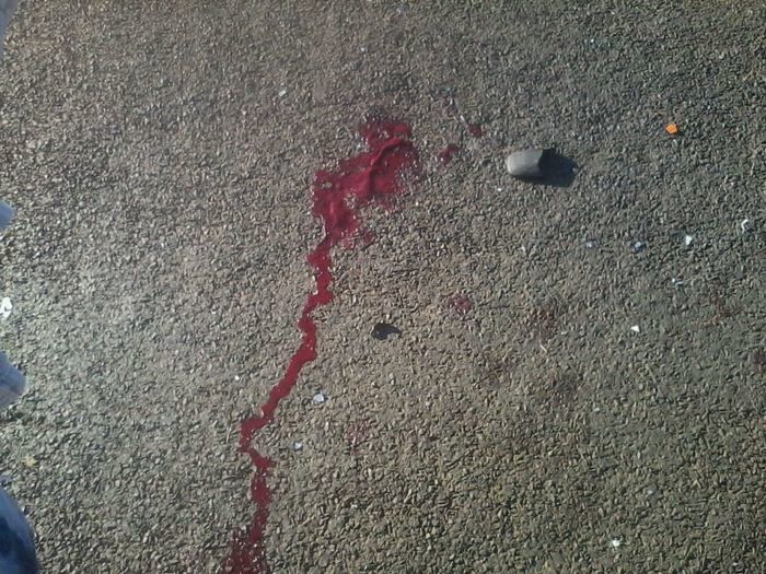 Acidente na PI 232 quase termina em tragédia em Agricolândia - Imagem 6