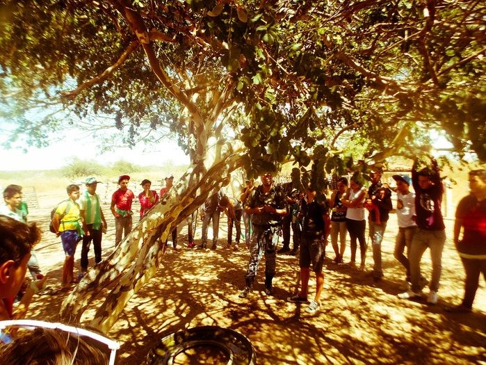 Alunos do “Projeto de Vida” participam de aula ao ar livre - Imagem 97