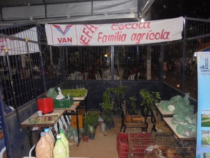 Confira imagens da 1º Feira Territorial da Agricultura Familiar de São Pedro do Piauí - Imagem 95