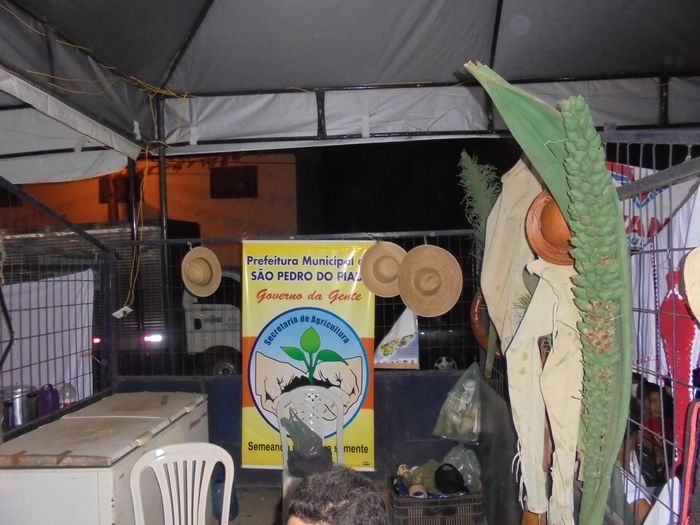Confira imagens da 1º Feira Territorial da Agricultura Familiar de São Pedro do Piauí - Imagem 119