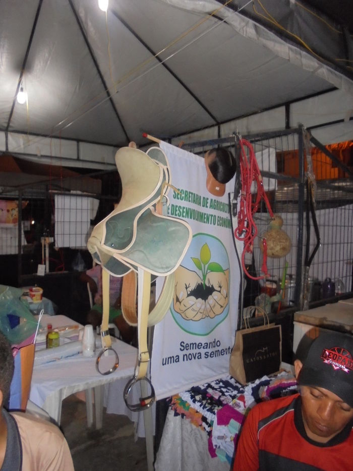 Confira imagens da 1º Feira Territorial da Agricultura Familiar de São Pedro do Piauí - Imagem 118