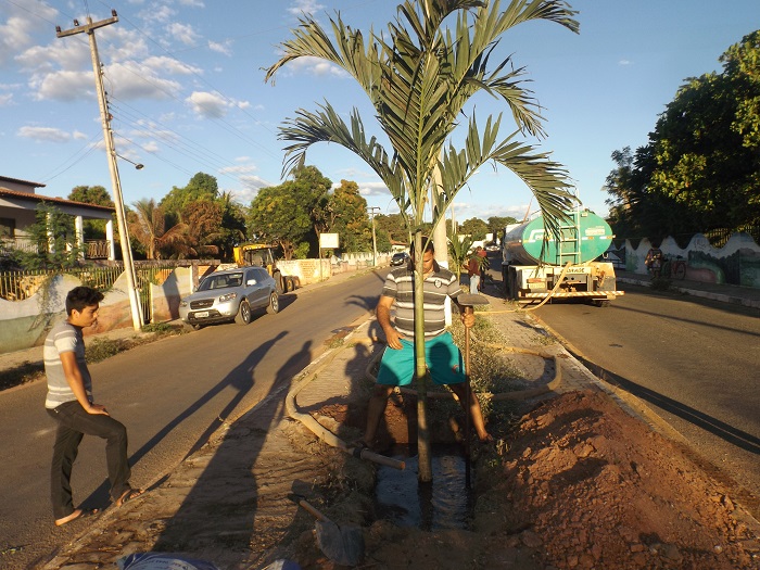 Prefeitura intensifica serviços de urbanismo e paisagismo na cidade de Redenção do Gurguéia - Imagem 4
