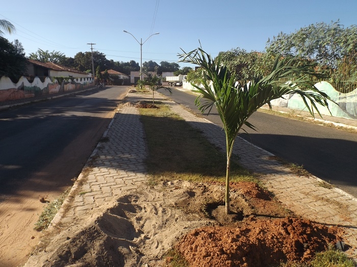 Prefeitura intensifica serviços de urbanismo e paisagismo na cidade de Redenção do Gurguéia - Imagem 2