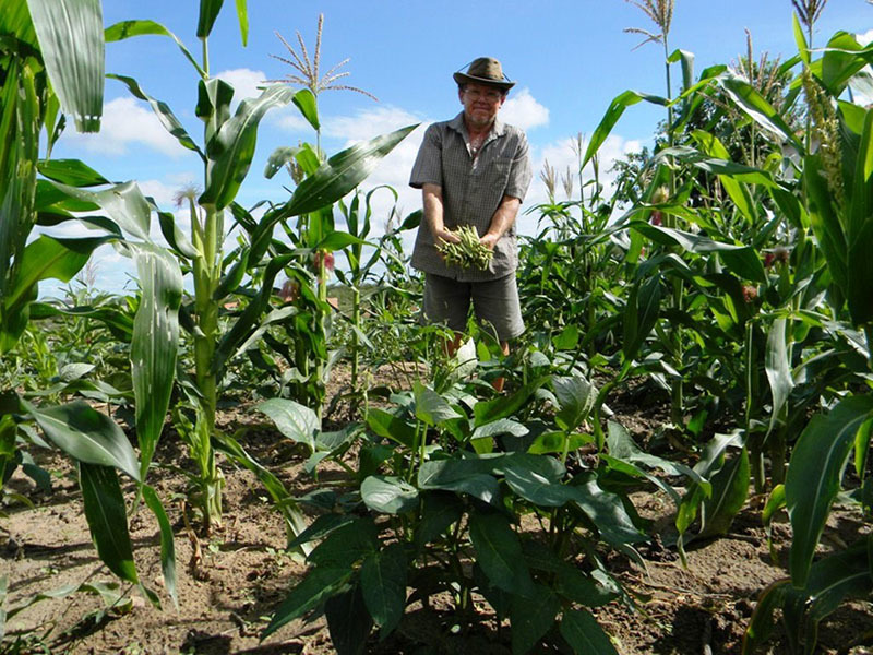 Projeto “Festa Junina 2015” promove agricultura familiar em Oeiras