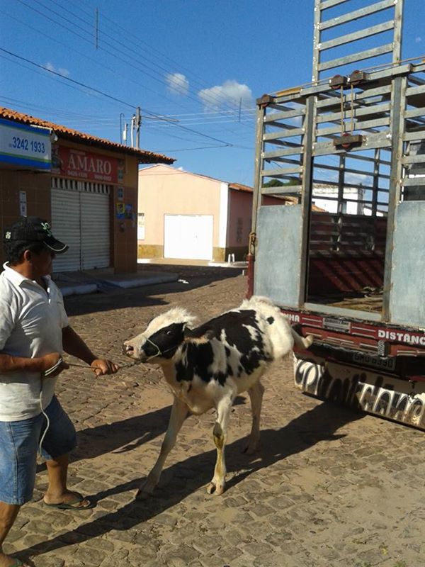 Bingo beneficente para Francisco Edílson (Banana) acontecerá hoje, 27. - Imagem 7
