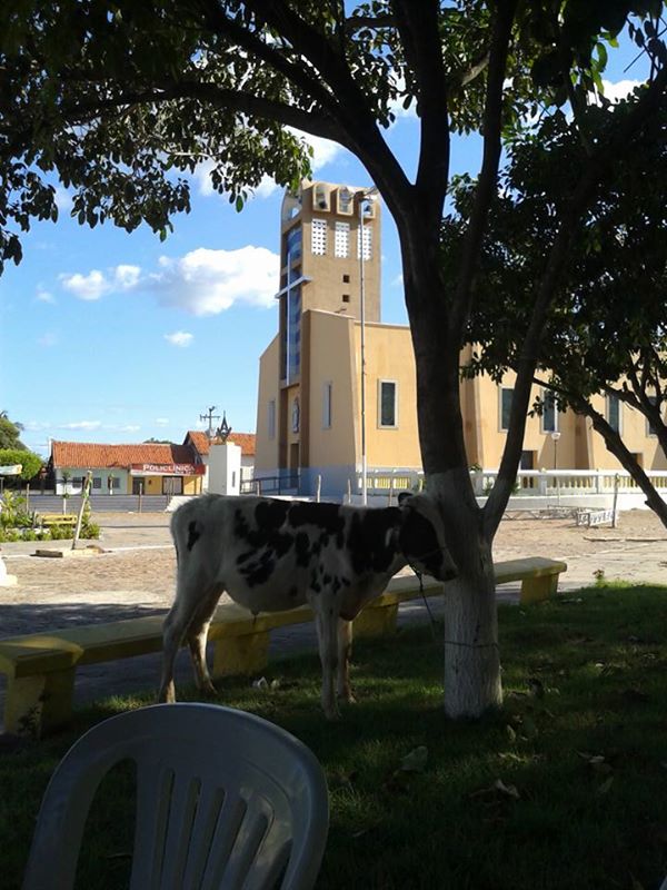 Bingo beneficente para Francisco Edílson (Banana) acontecerá hoje, 27. - Imagem 3