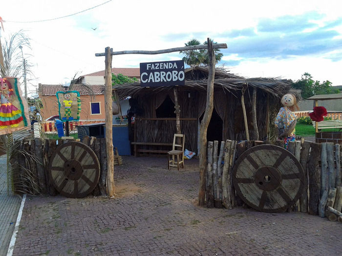 Oeiras realiza festividades juninas integrando pessoas e homenageando o homem do campo - Imagem 7