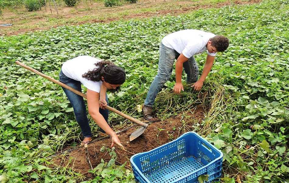 Município cadastrou 2.200 agricultores no Garantia Safra