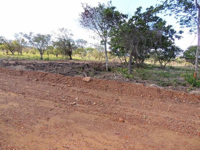 Smallville Residence, um local ideal para morar próximo de Pedro II e em contato com a natureza - Imagem 28