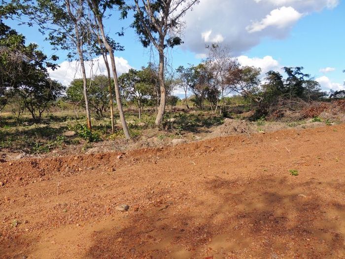 Smallville Residence, um local ideal para morar próximo de Pedro II e em contato com a natureza - Imagem 27