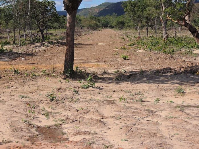 Smallville Residence, um local ideal para morar próximo de Pedro II e em contato com a natureza - Imagem 17