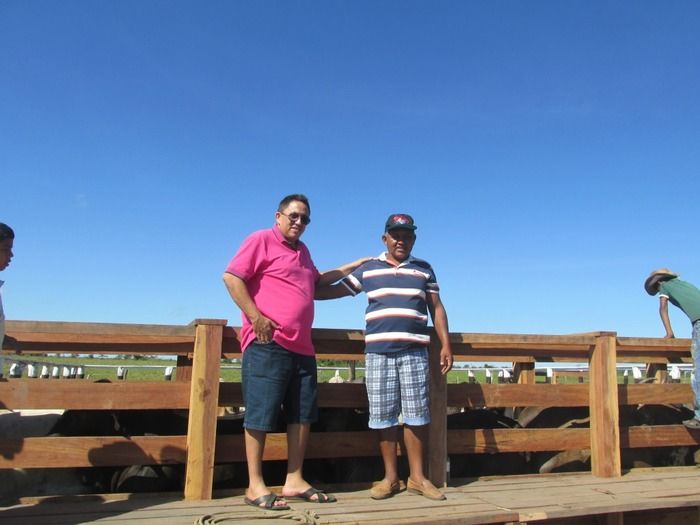 Prefeito Walter Alencar incentiva os Criadores de Gado na vacinação contra a Febre Aftosa - Imagem 1