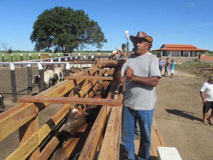 Prefeito Walter Alencar incentiva os Criadores de Gado na vacinação contra a Febre Aftosa - Imagem 3