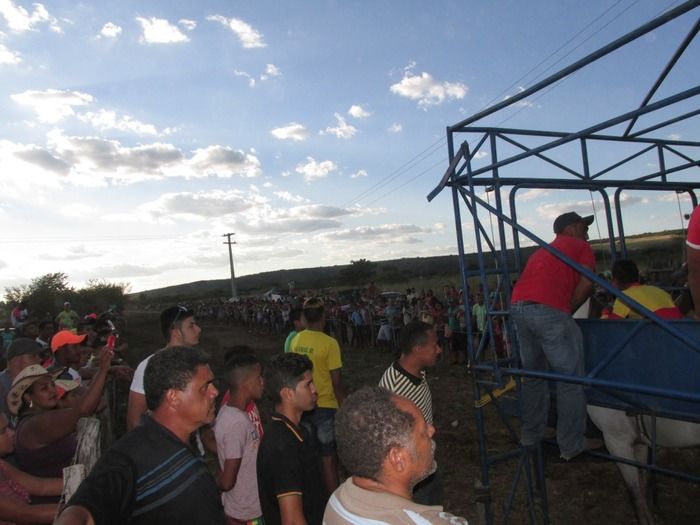 Tradicional Corrida de Cavalos de Olho D´Água do Piaui - Imagem 13