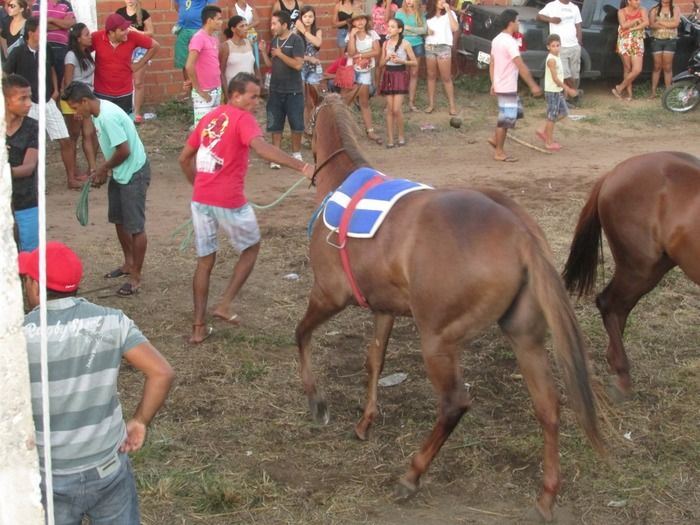 Tradicional Corrida de Cavalos de Olho D´Água do Piaui - Imagem 25