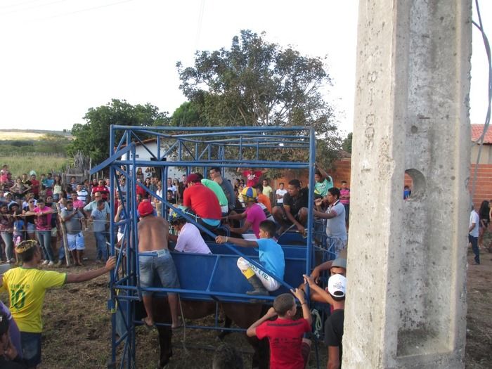 Tradicional Corrida de Cavalos de Olho D´Água do Piaui - Imagem 17