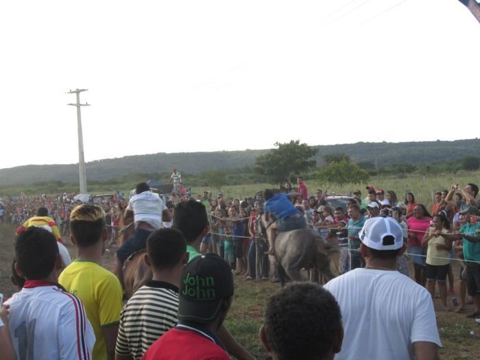 Tradicional Corrida de Cavalos de Olho D´Água do Piaui - Imagem 14