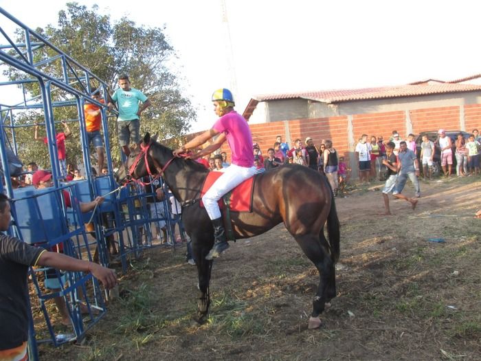 Tradicional Corrida de Cavalos de Olho D´Água do Piaui - Imagem 16